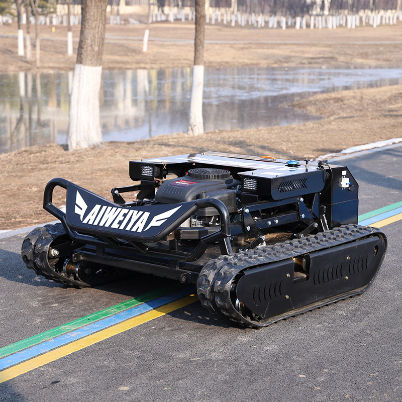 Customized Gas Lawn Mower - Ea - Outdoor Power Mowers บทวิจารณ์และราคา