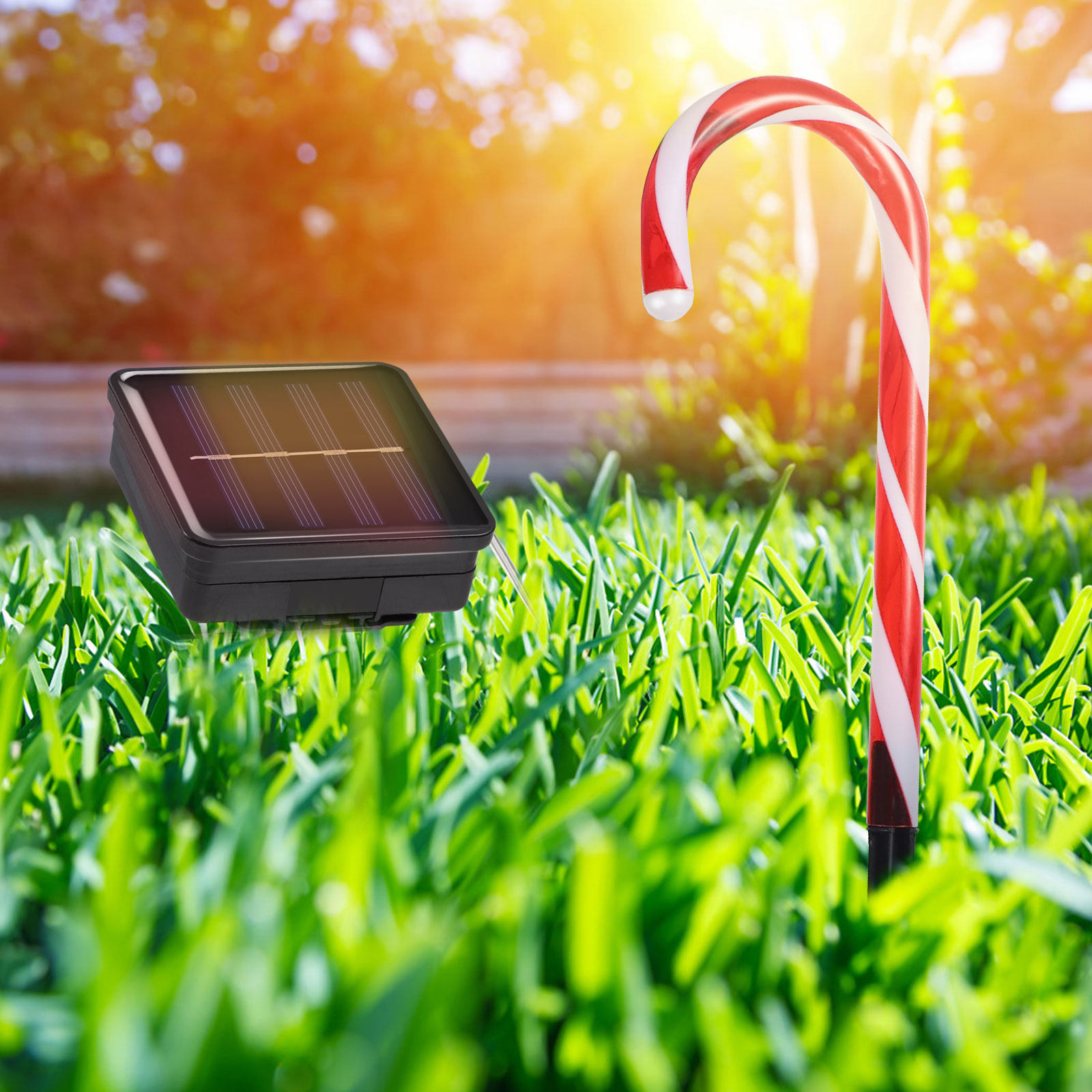 2Sets Solar Powered LED Candy  - Outdoor Power For Xmas Lights บทวิจารณ์และราคา