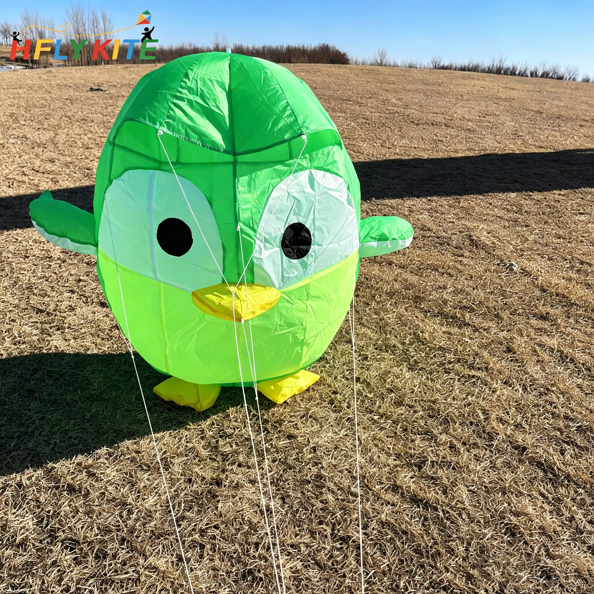 Penguin Kite Pendant, Soft Inf - Outdoor Power Line บทวิจารณ์และราคา