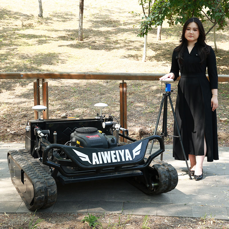 Customized NEW Powered Lawn Mo - Outdoor Power Mowers บทวิจารณ์และราคา
